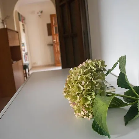 Per Vacanze Domus Lunae